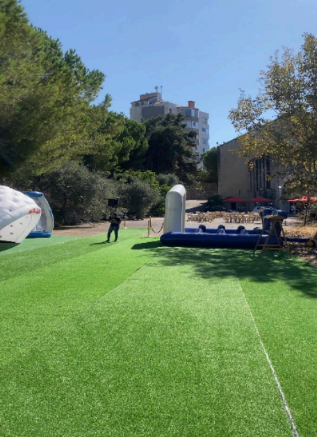 Artificial Grass