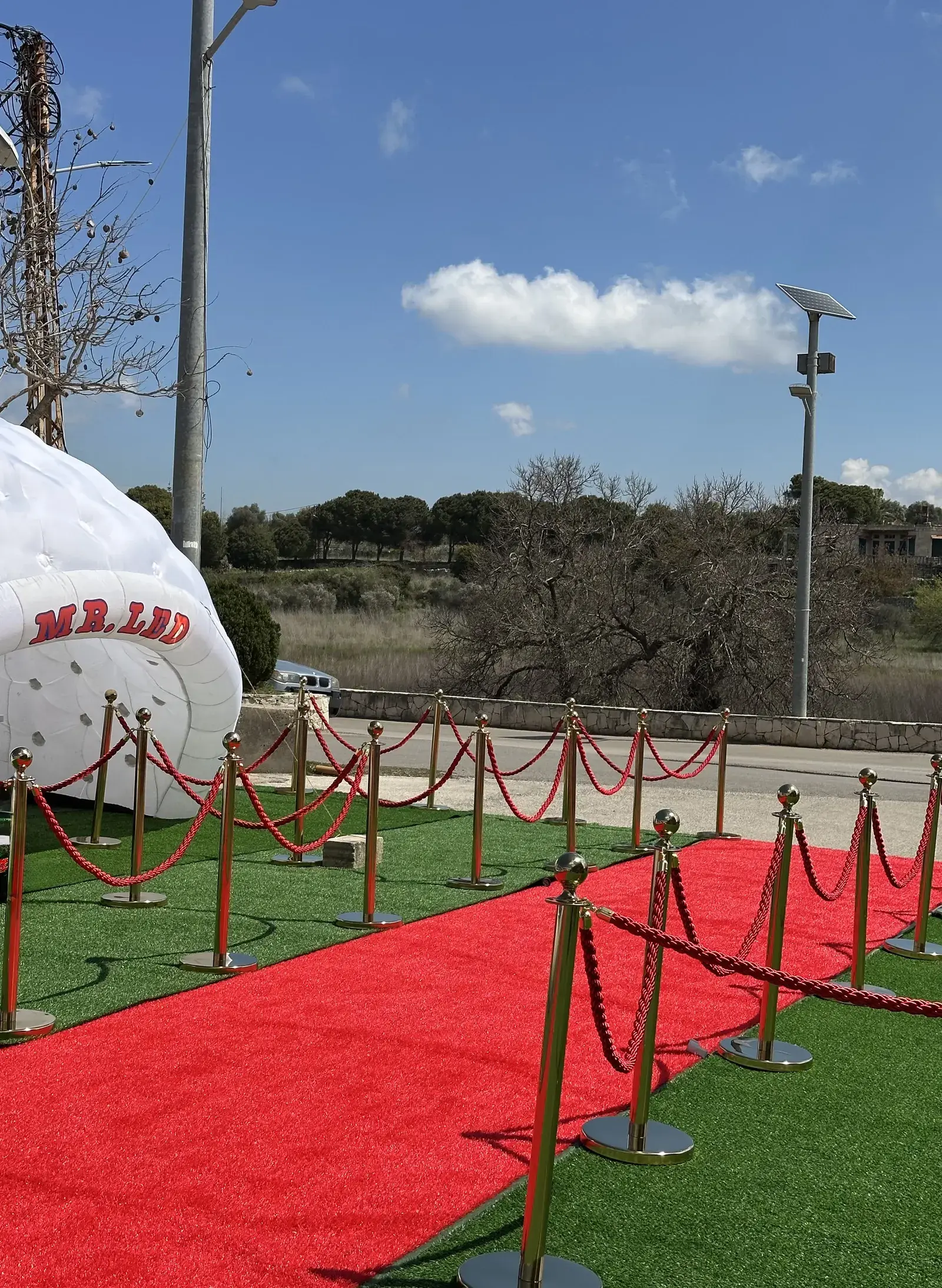 Red Carpet — Event Decorations rental in Lebanon