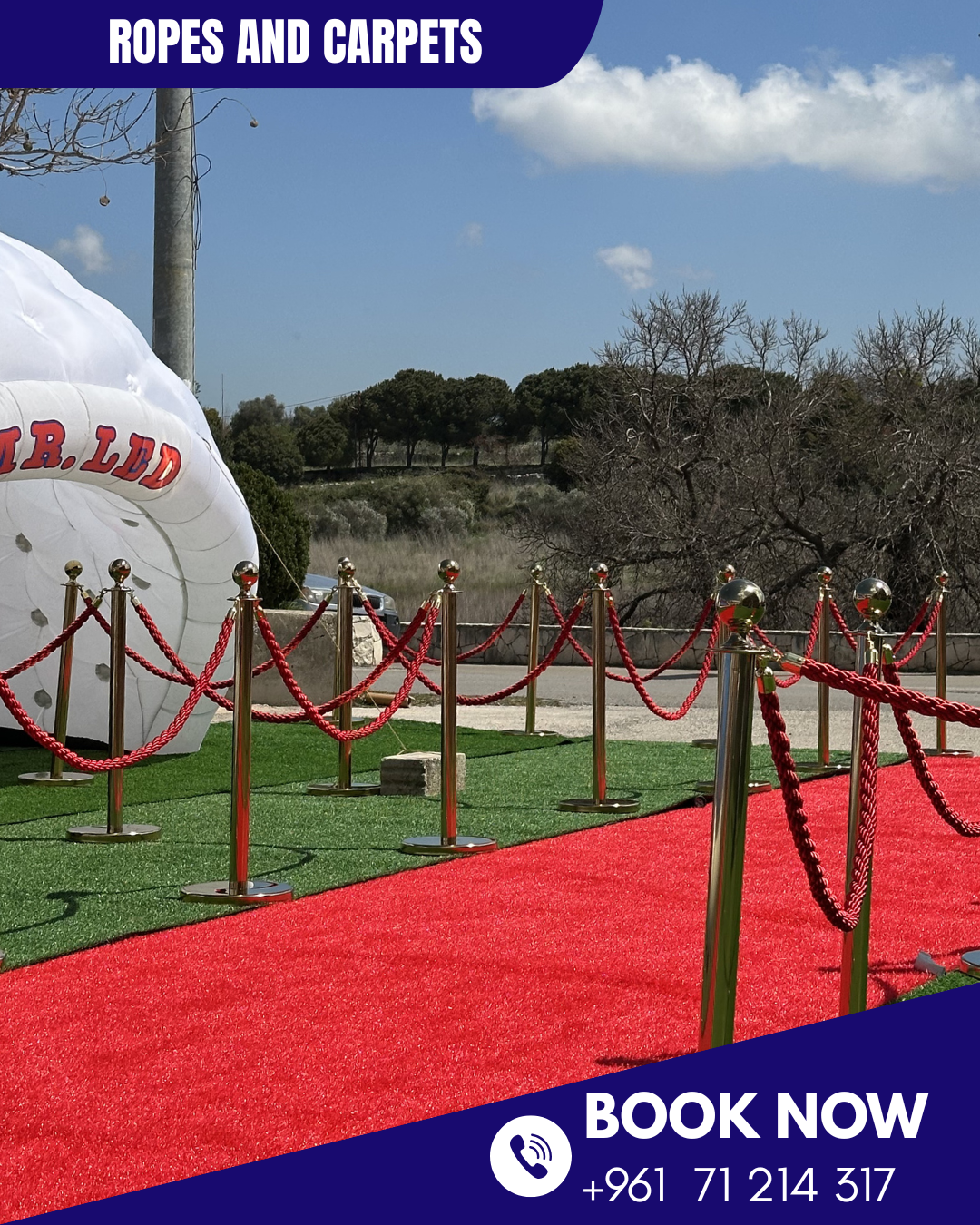 Stanchions with Ropes thumbnail 2